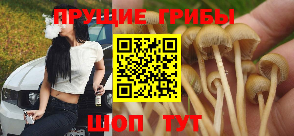 Псилоцибиновые грибы Magic Shrooms  Вход с VPN  Морозовск 